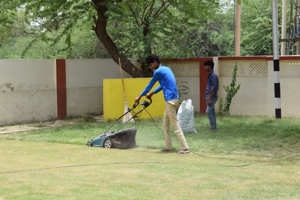 Young men working together on lawn maintenance with a mower in a sunny garden setting.
